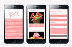 İpek El Sanatları'nın Web Sitesi Artık Mobil Cihazlara Uyumlu