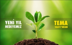 S�rrealist'ten Yeni Y�l ��in Fidan Hediyesi